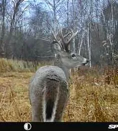 $590,000 | 6920 County Road 8 Northeast, Longville, MN 56655