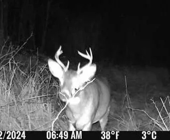 $590,000 | 6920 County Road 8 Northeast, Longville, MN 56655