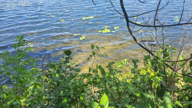 $590,000 | 6920 County Road 8 Northeast, Longville, MN 56655