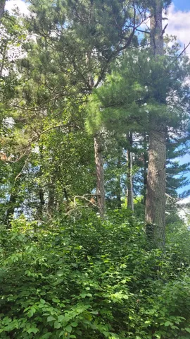 $590,000 | 6920 County Road 8 Northeast, Longville, MN 56655