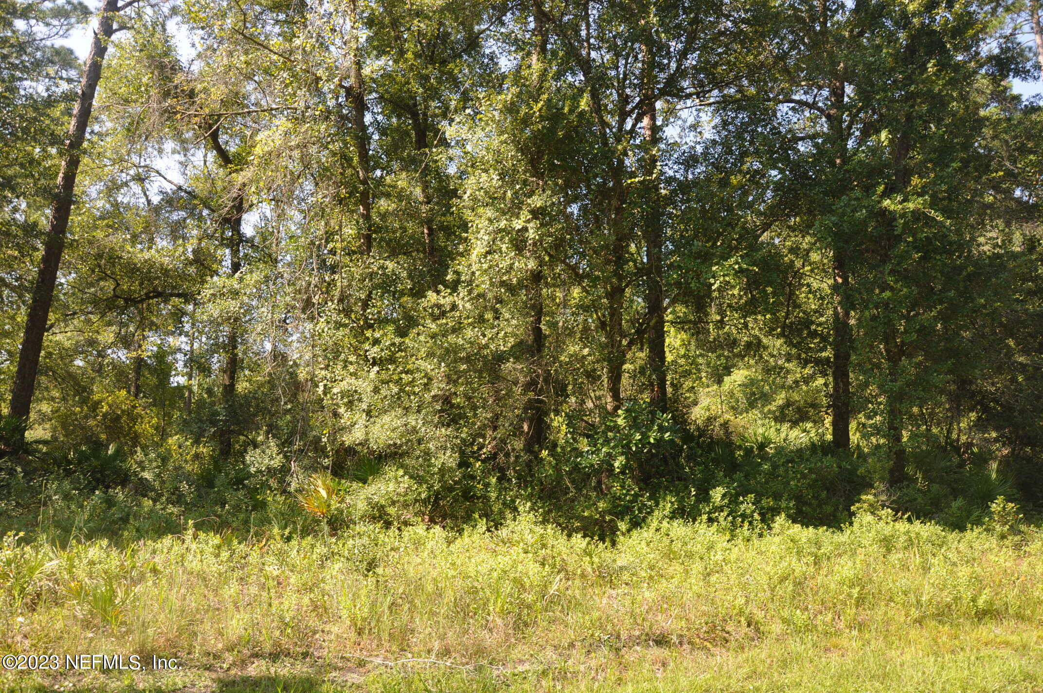 0 Southwest Sw Cr Hampton, FL 32044 - Photo 1 of 53 Front