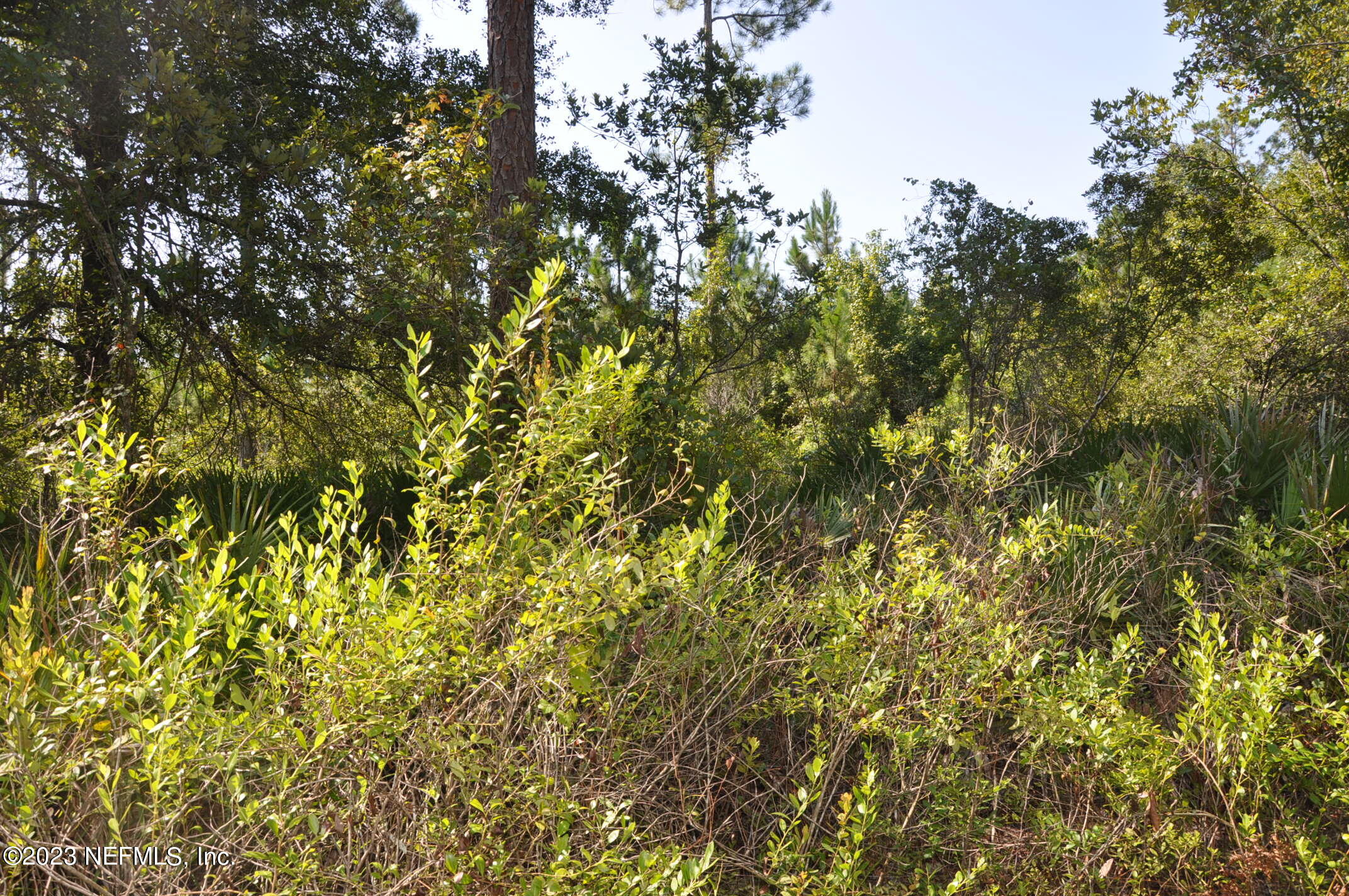 0 Southwest Sw Cr Hampton, FL 32044 - Photo 11 of 53 DSC_0831
