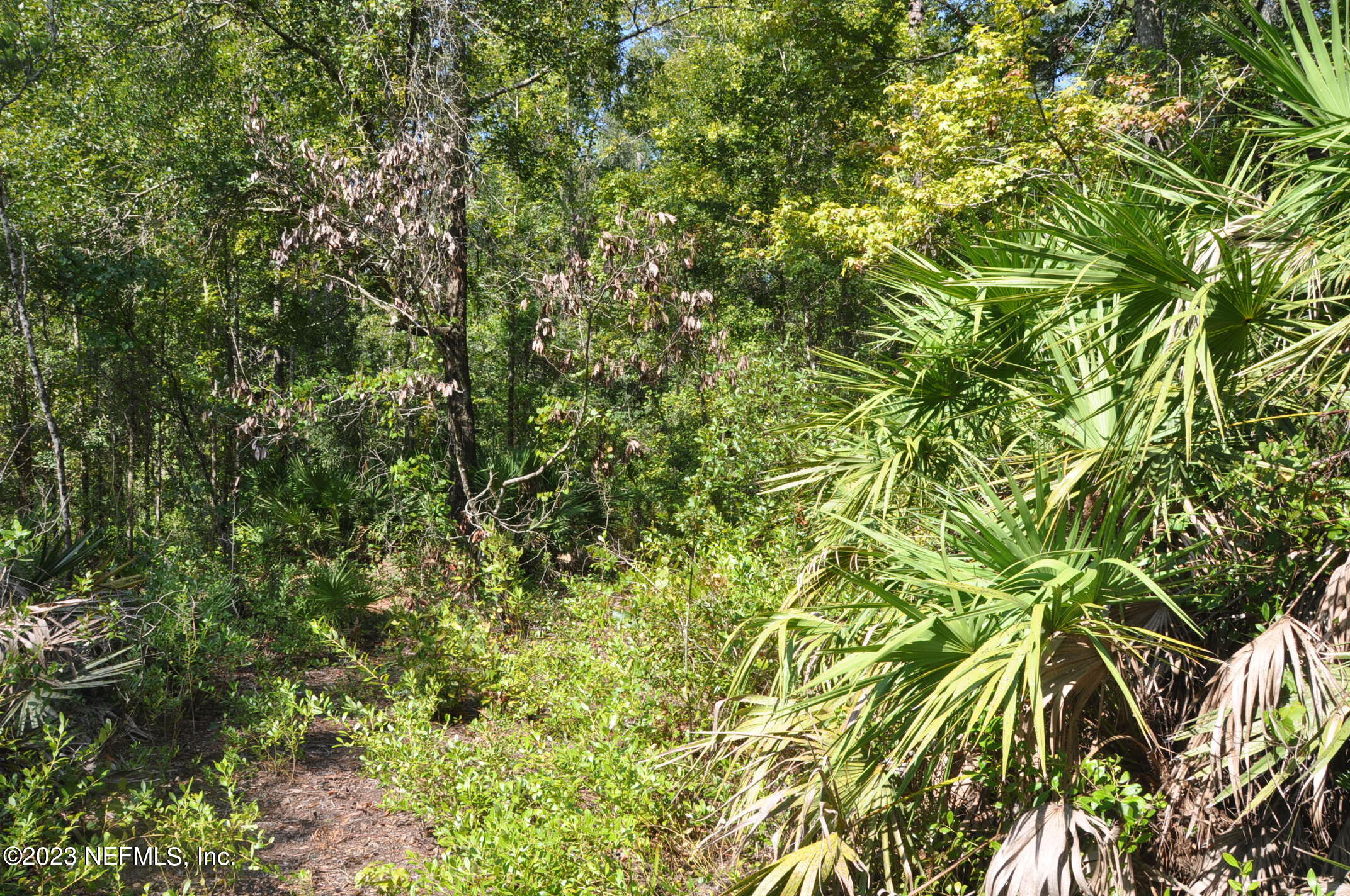 0 Southwest Sw Cr Hampton, FL 32044 - Photo 12 of 53 DSC_0832