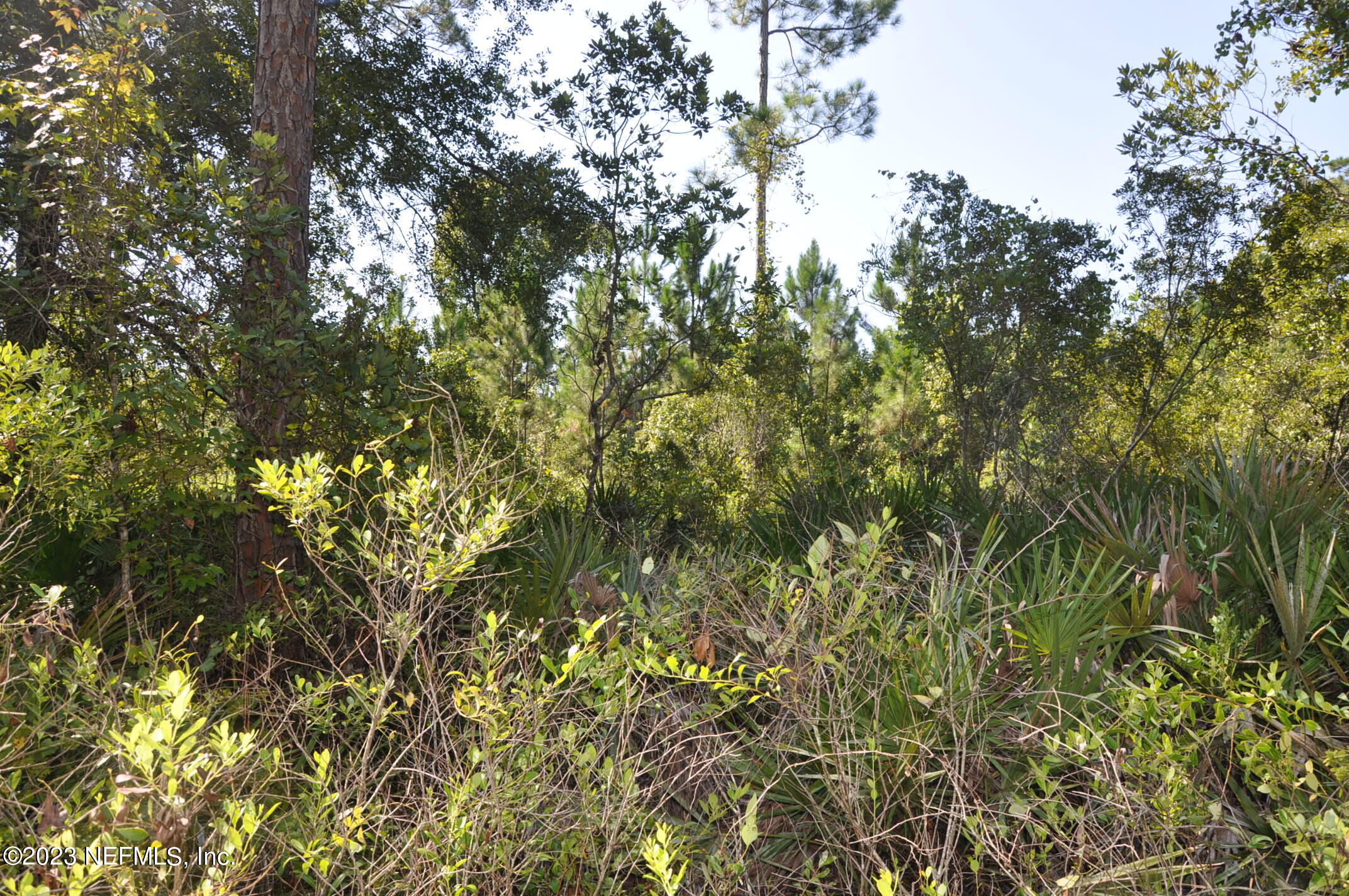 0 Southwest Sw Cr Hampton, FL 32044 - Photo 13 of 53 DSC_0834