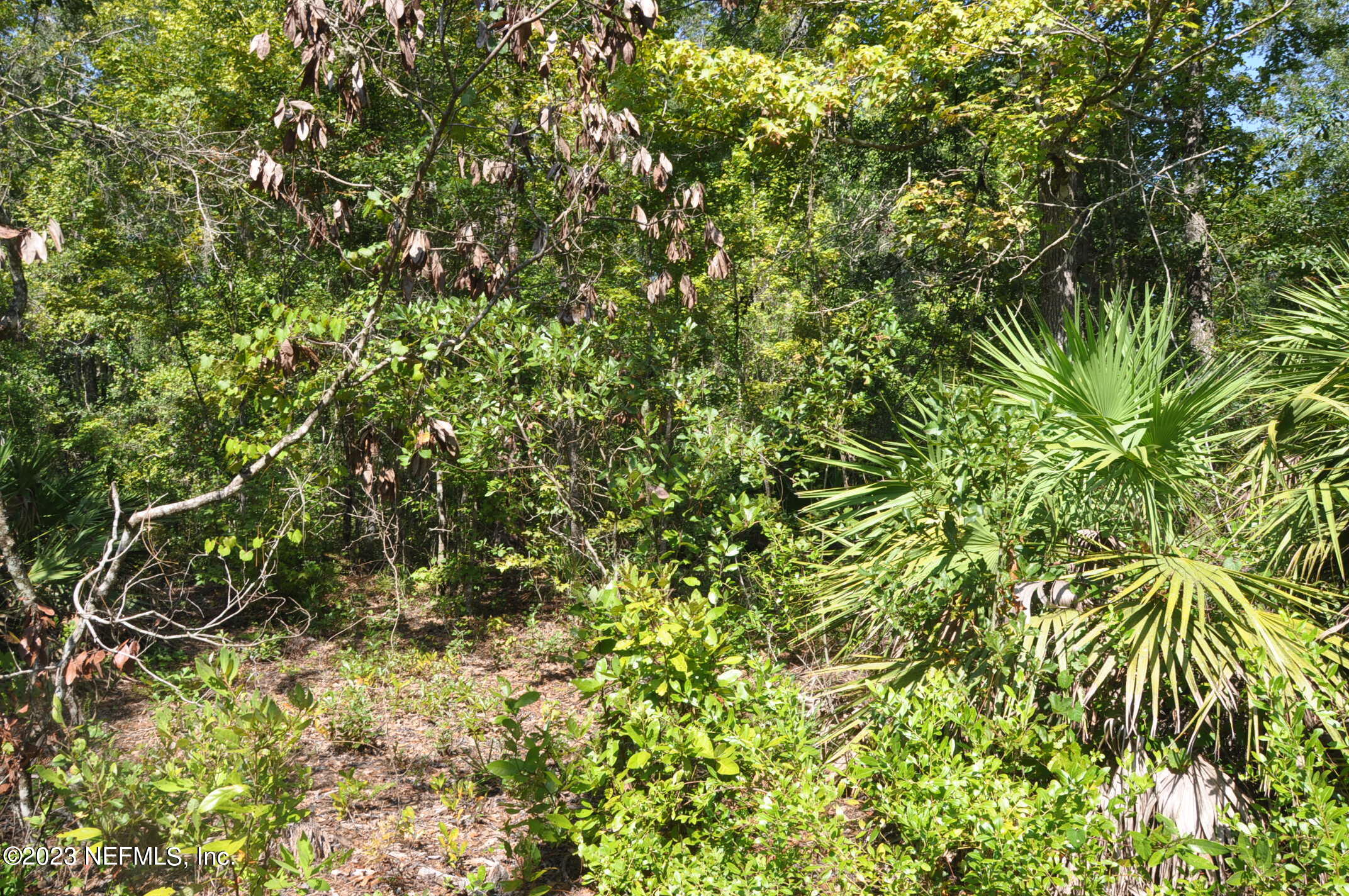 0 Southwest Sw Cr Hampton, FL 32044 - Photo 14 of 53 DSC_0835