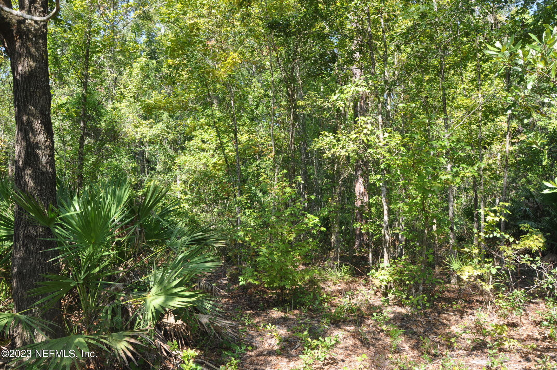 0 Southwest Sw Cr Hampton, FL 32044 - Photo 16 of 53 DSC_0838