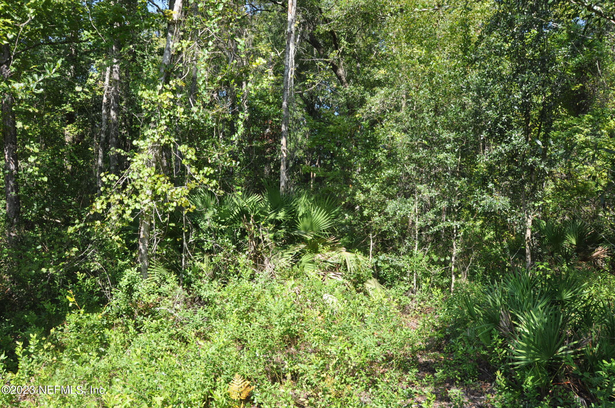 0 Southwest Sw Cr Hampton, FL 32044 - Photo 19 of 53 DSC_0841