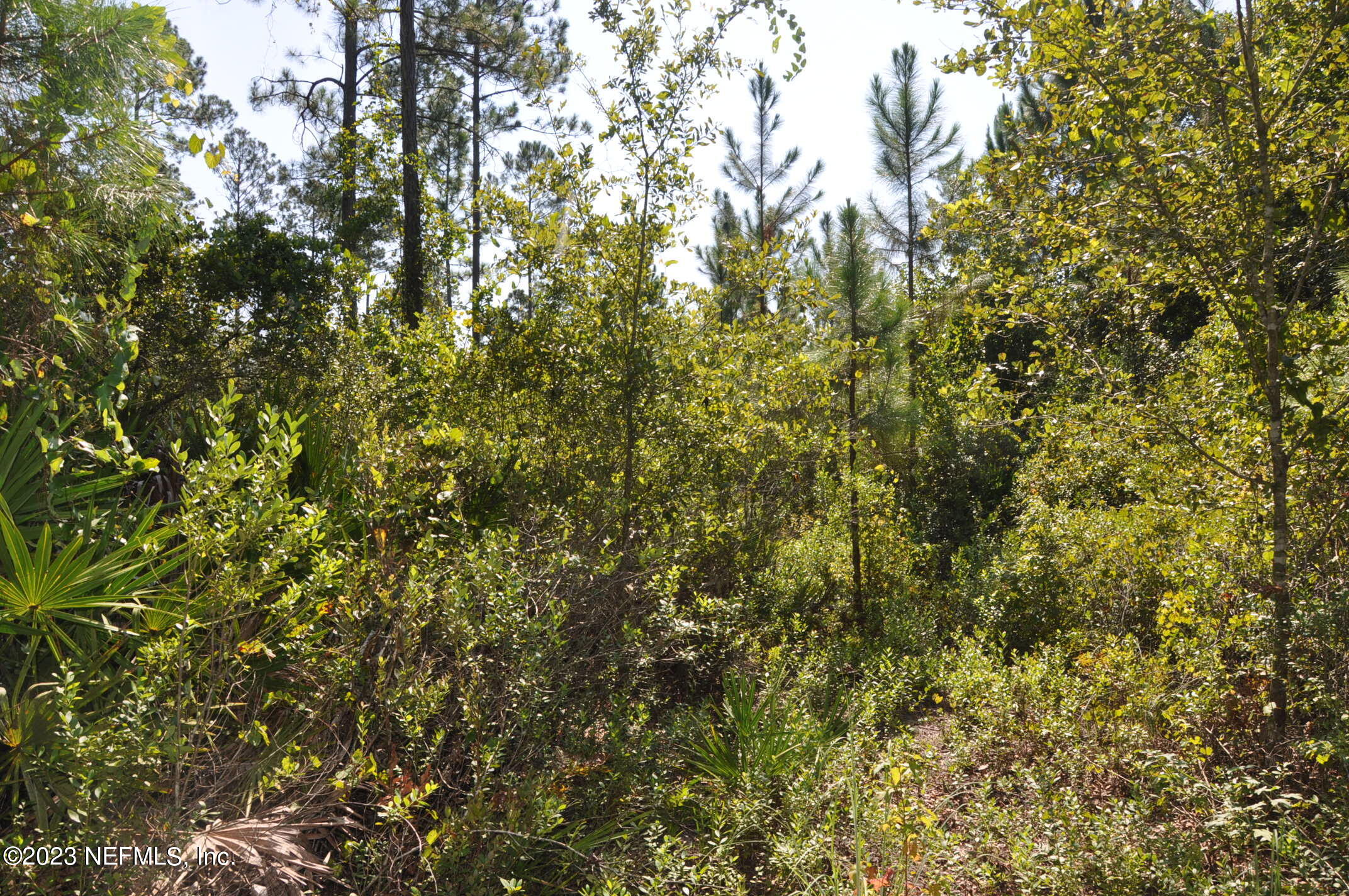 0 Southwest Sw Cr Hampton, FL 32044 - Photo 20 of 53 DSC_0842