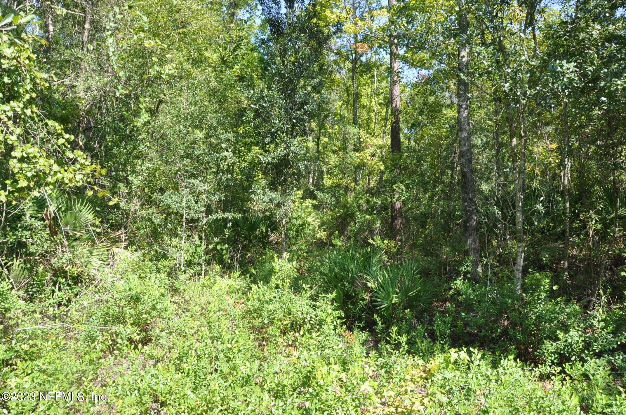0 Southwest Sw Cr Hampton, FL 32044 - Photo 21 of 53 DSC_0843