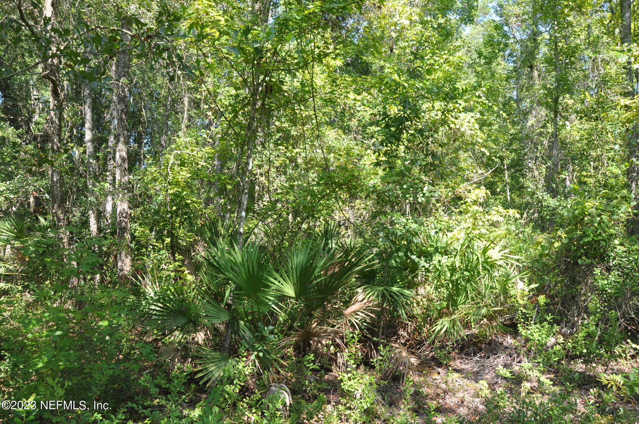 0 Southwest Sw Cr Hampton, FL 32044 - Photo 22 of 53 DSC_0844