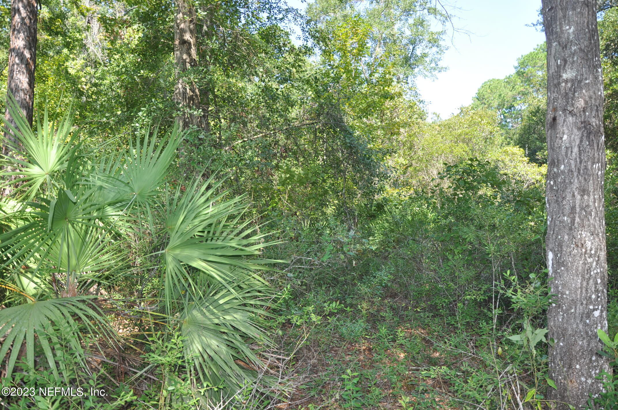 0 Southwest Sw Cr Hampton, FL 32044 - Photo 25 of 53 DSC_0848