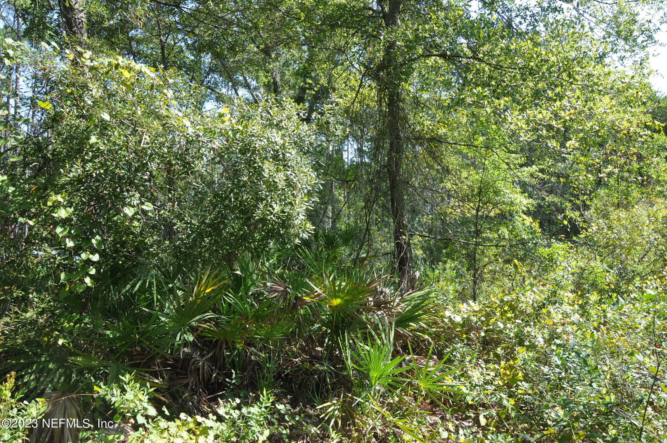 0 Southwest Sw Cr Hampton, FL 32044 - Photo 26 of 53 DSC_0849