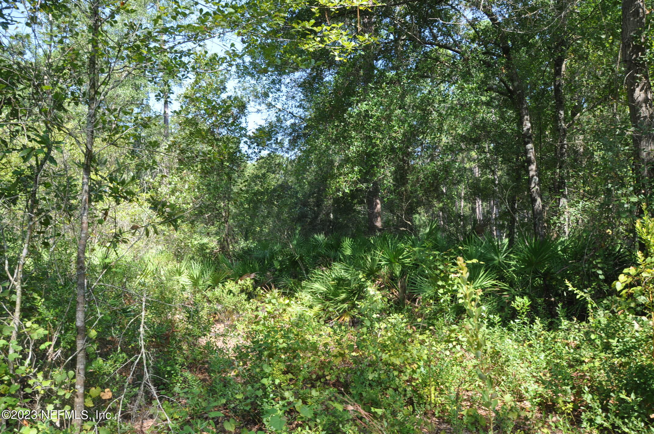 0 Southwest Sw Cr Hampton, FL 32044 - Photo 27 of 53 DSC_0850