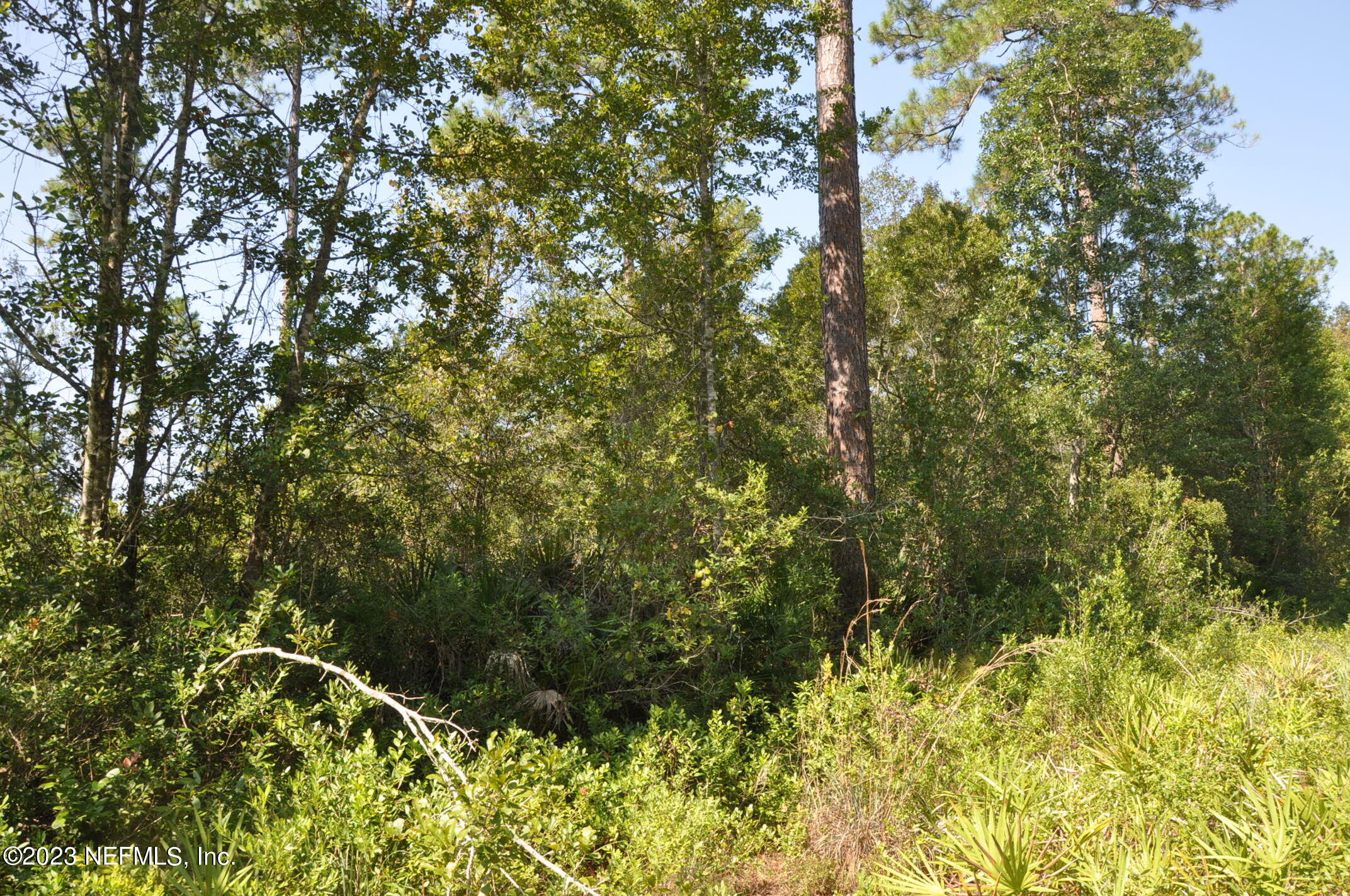0 Southwest Sw Cr Hampton, FL 32044 - Photo 32 of 53 DSC_0855
