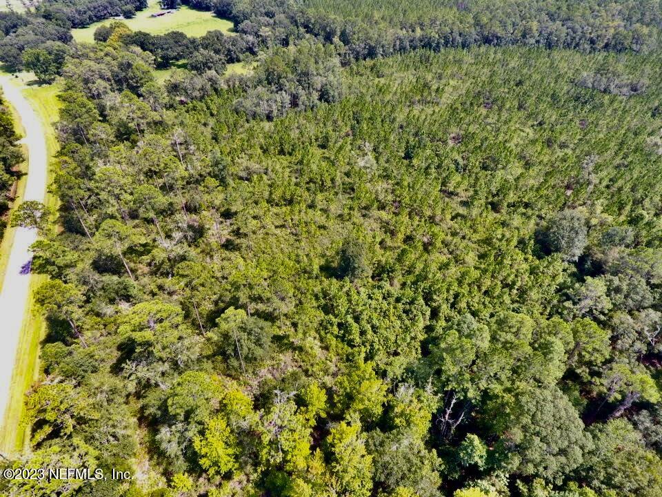 0 Southwest Sw Cr Hampton, FL 32044 - Photo 36 of 53 IMG_6611