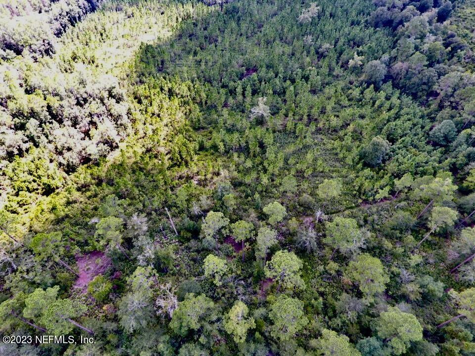 0 Southwest Sw Cr Hampton, FL 32044 - Photo 46 of 53 IMG_6621