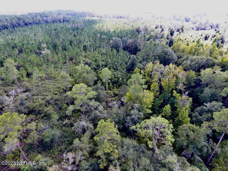 0 Southwest Sw Cr Hampton, FL 32044 - Photo 50 of 53 IMG_6627