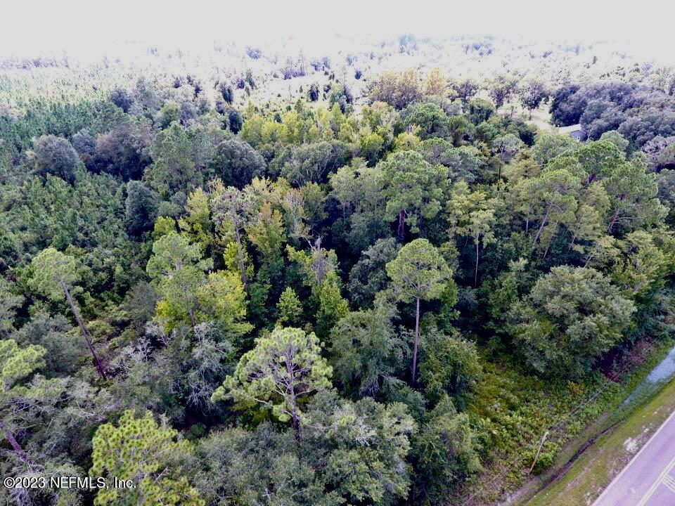 0 Southwest Sw Cr Hampton, FL 32044 - Photo 51 of 53 IMG_6626