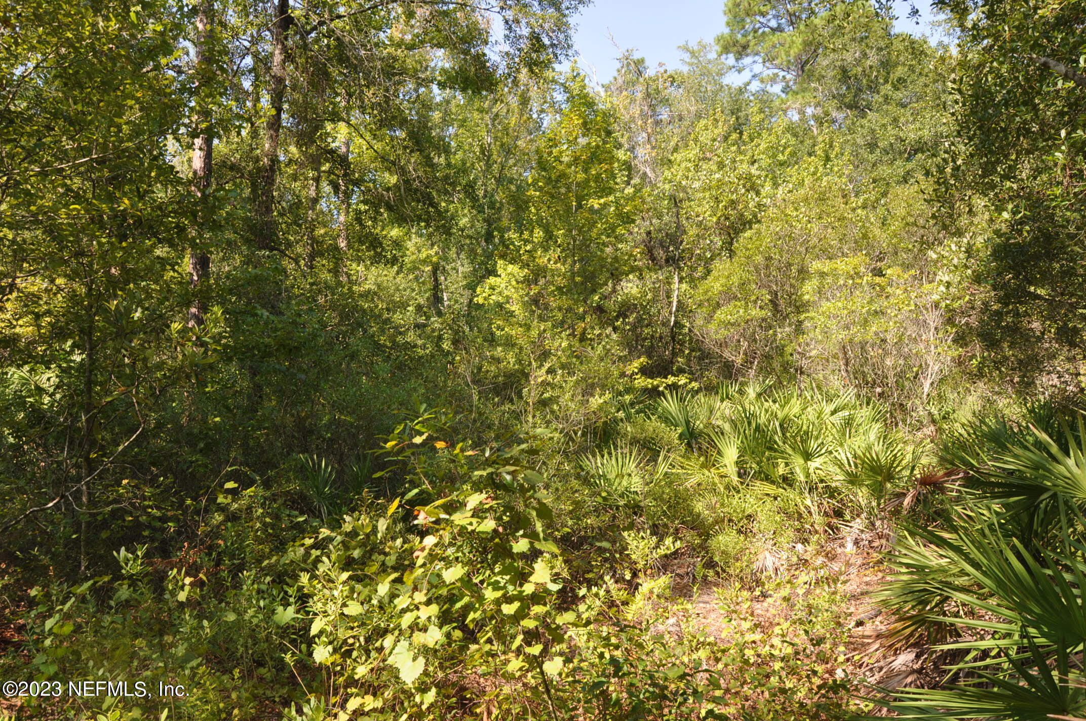0 Southwest Sw Cr Hampton, FL 32044 - Photo 6 of 53 DSC_0826