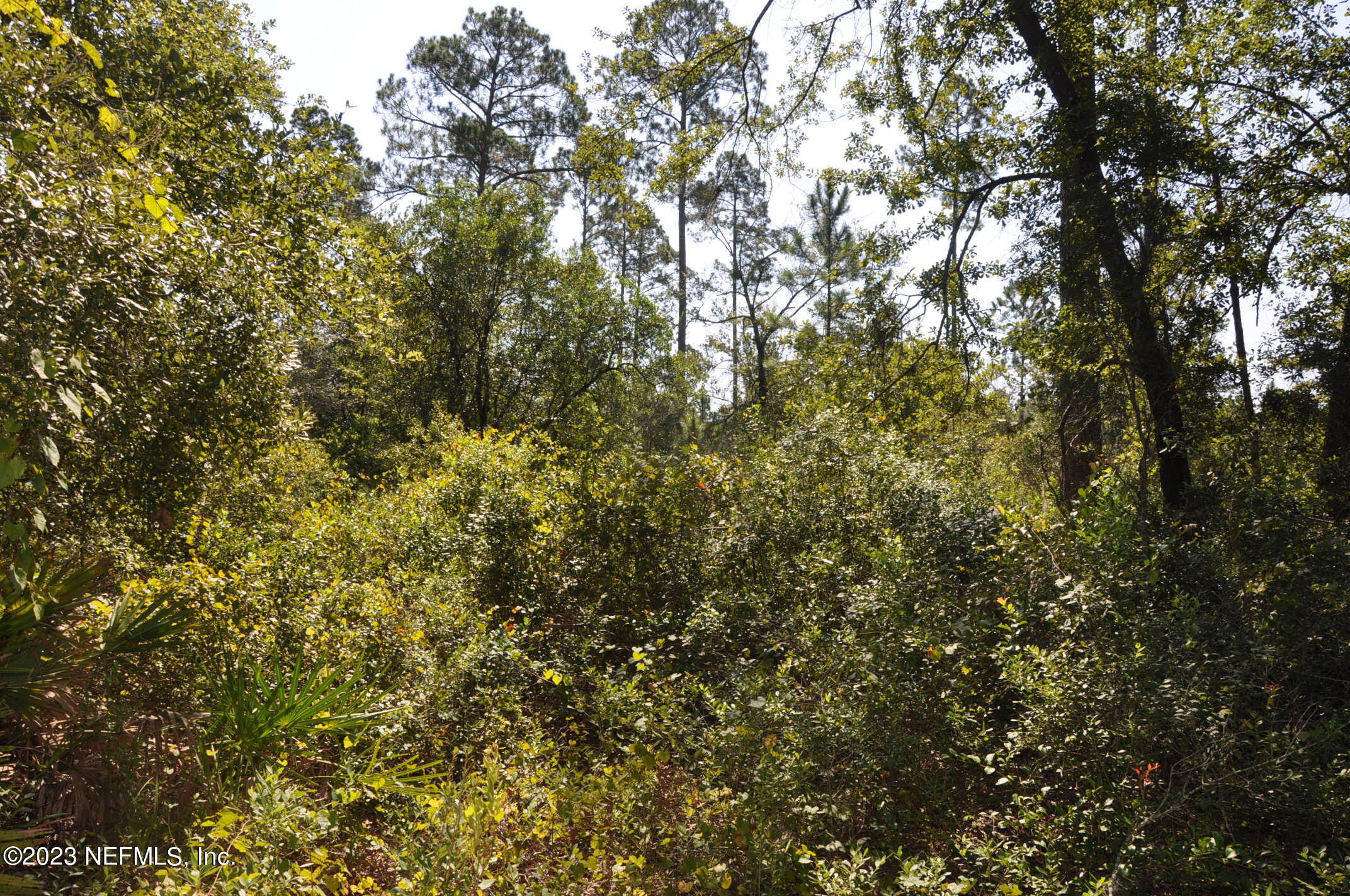 0 Southwest Sw Cr Hampton, FL 32044 - Photo 8 of 53 DSC_0828