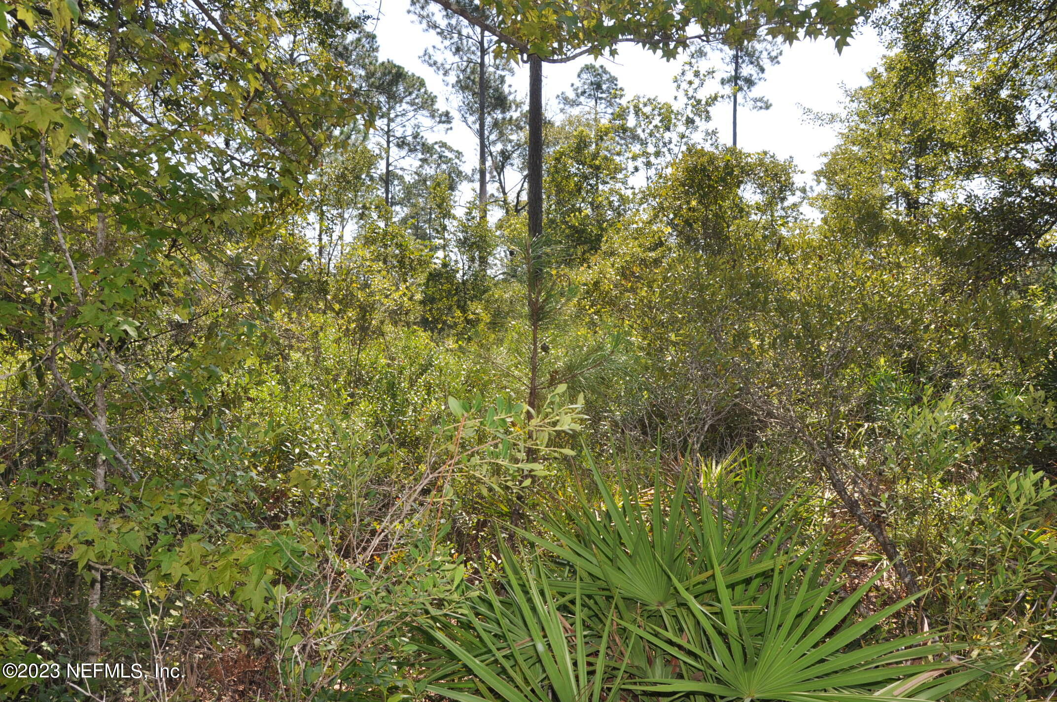 0 Southwest Sw Cr Hampton, FL 32044 - Photo 10 of 53 DSC_0830