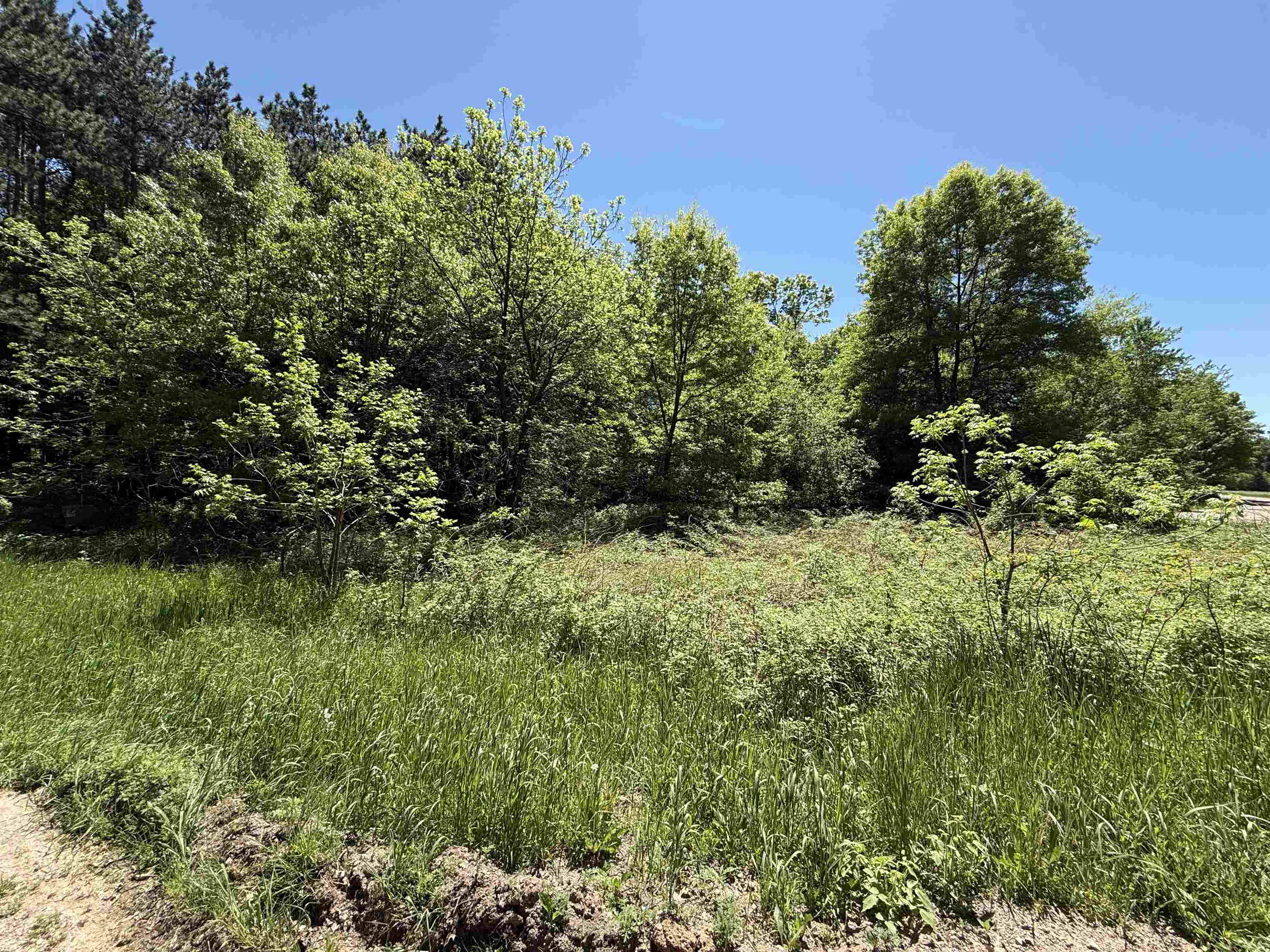 Lot 16 Arrowhead Road Amherst Junction, WI 54407 - Photo 6 of 17