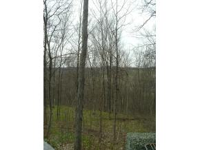1585 Warren Switch Road Pawlet, VT 05775 - Photo 8 of 8 Gallery Image 8