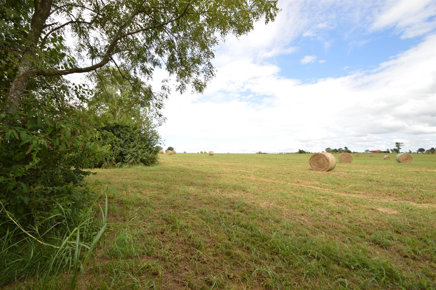 269 Robinson Roe Road, Unit 8 Harrodsburg, KY 40330 - Photo 7 of 11 Photo 7