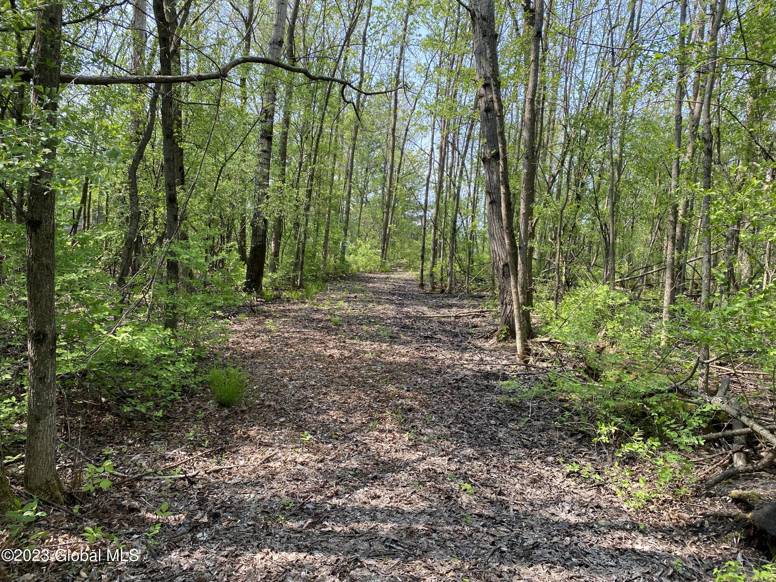 31 Mossy Point Road Ticonderoga, NY 12883 - Photo 3 of 7 june 2