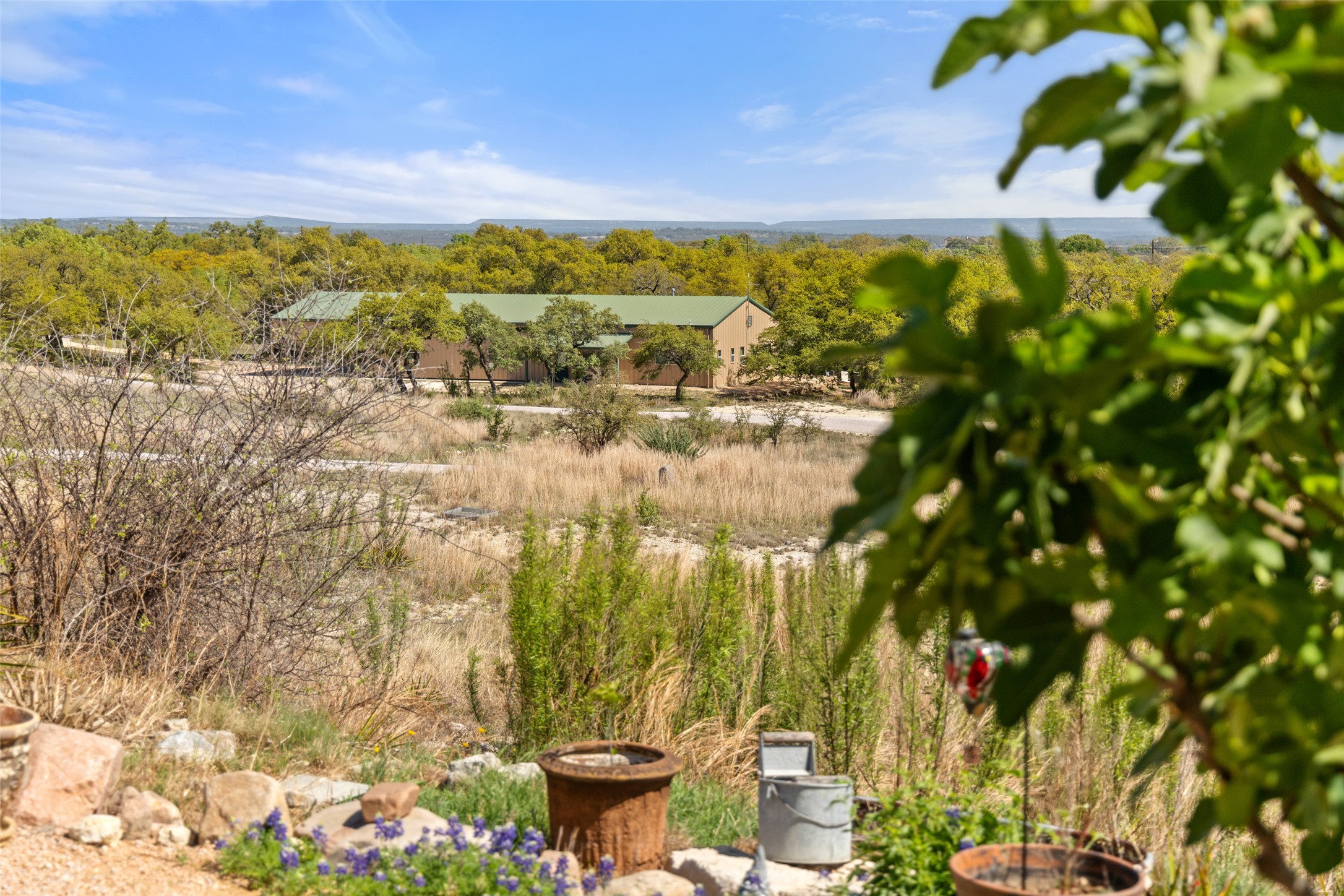 546 Lazy Oak Road Hye, TX 78635 - Photo 12 of 34 View of yard