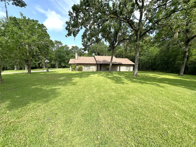 a wooden deck with big trees