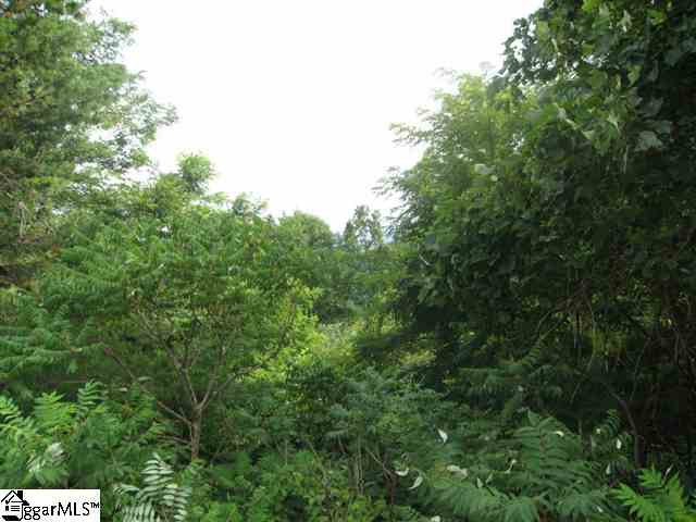 Lot 8 Plumley Summit Road Landrum, SC 29356 - Photo 1 of 1