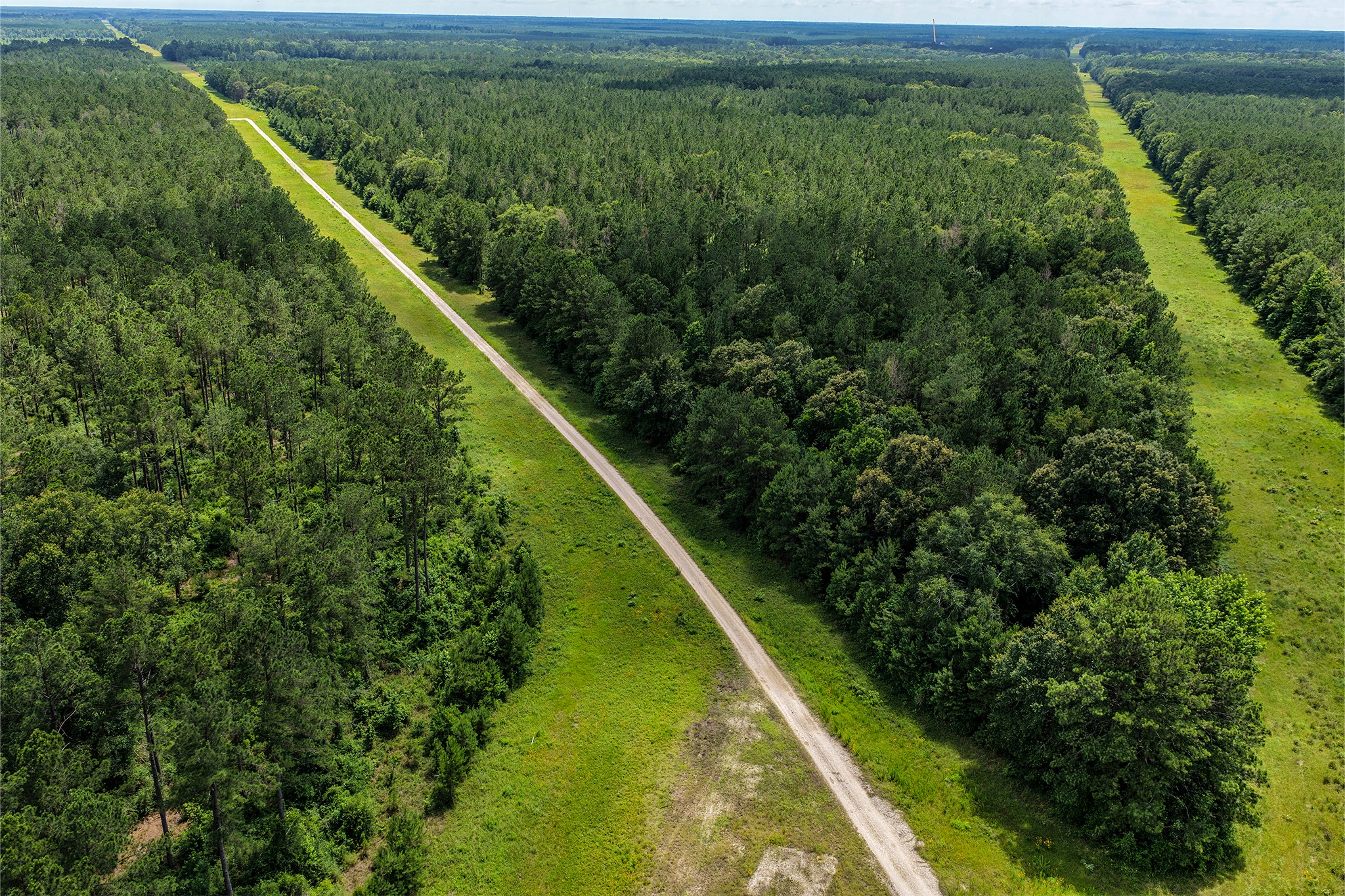 1782-acres County Line Road Shepherd, TX 77371 - Photo 19 of 22