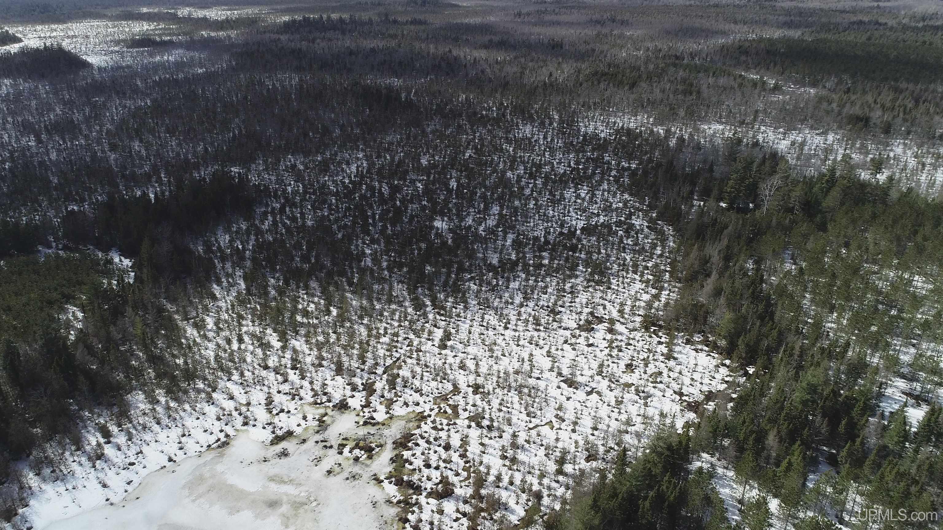20-acres Off Flodin Road Manistique, MI 49854 - Photo 25 of 29