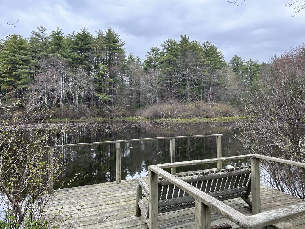 273 Wareham Street Middleboro, MA 02346 - Photo 42 of 42 a deck of a house with trees in the background