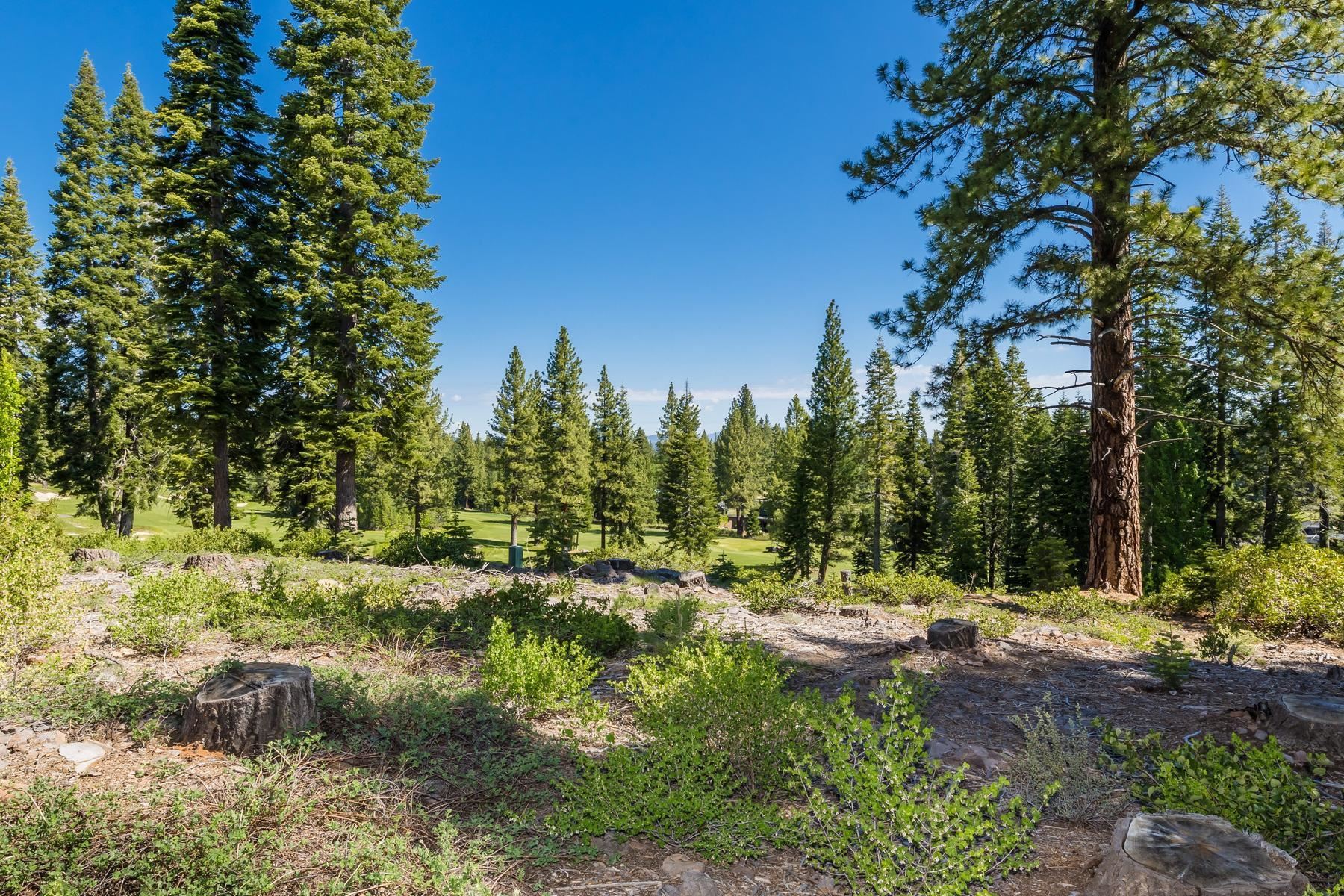 9279 Brae Road Truckee, CA 96161 - Photo 5 of 21 a view of a forest with trees
