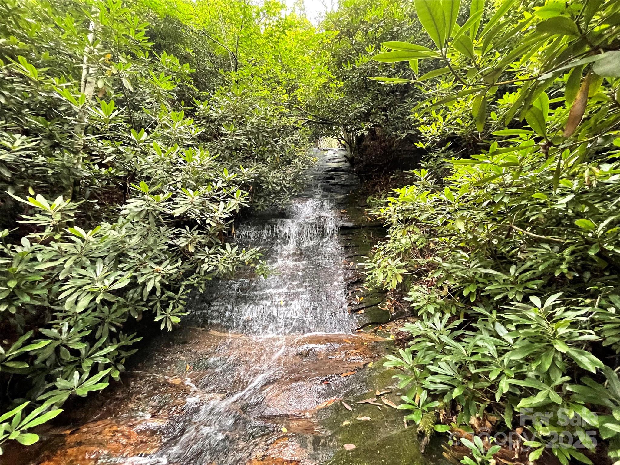 273 David's Trace Pisgah Forest, NC 28768 - Photo 2 of 48 a view of a garden with plants