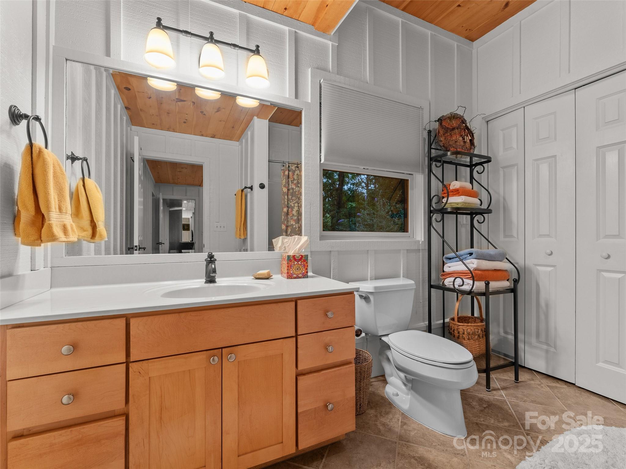 273 David's Trace Pisgah Forest, NC 28768 - Photo 37 of 48 a bathroom with a sink a toilet and mirror