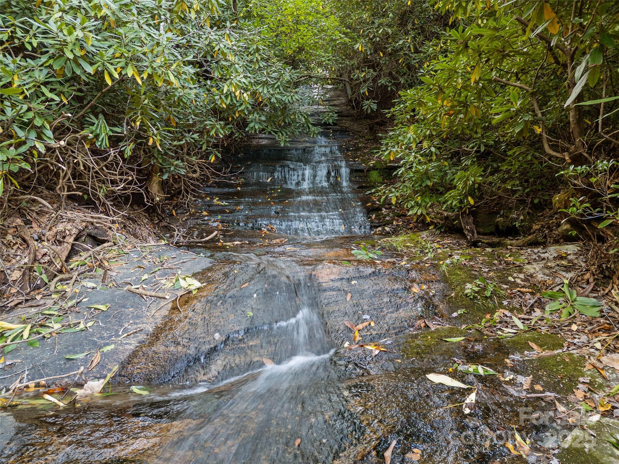 273 David's Trace Pisgah Forest, NC 28768 - Photo 4 of 48 a view of a yard with plants and trees