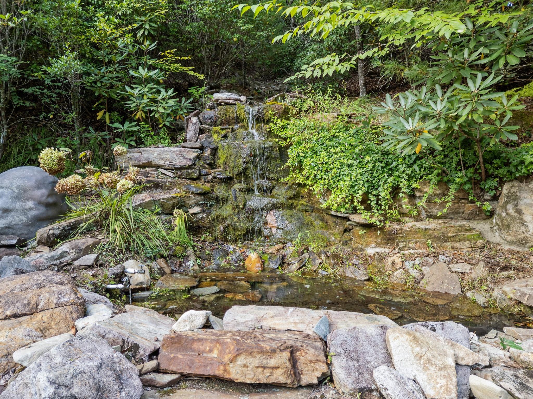 273 David's Trace Pisgah Forest, NC 28768 - Photo 46 of 48 a view of a garden with a tree