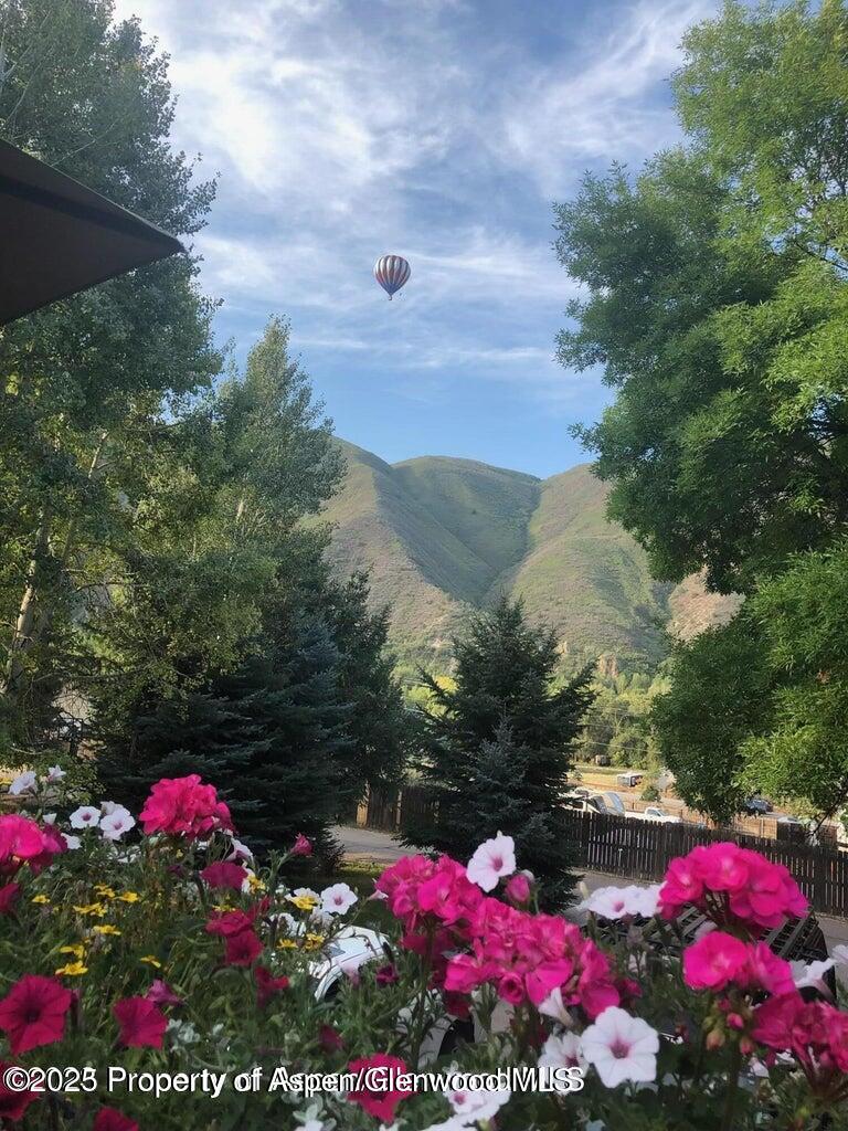 113 Crossland Drive Basalt, CO 81621 - Photo 27 of 28 a view of a flower in a yard