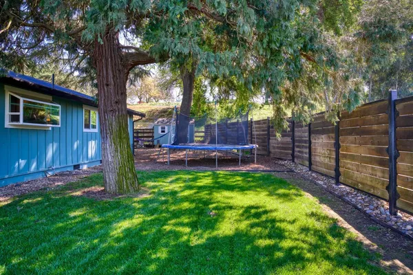 a view of a backyard