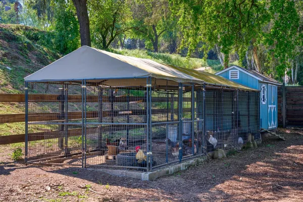 a view of house with outdoor space and large trees