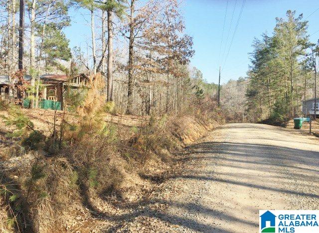 2175 Salt Creek Road, Unit ACREAGE Munford, AL 36268 - Photo 5 of 10 Gallery Image 5