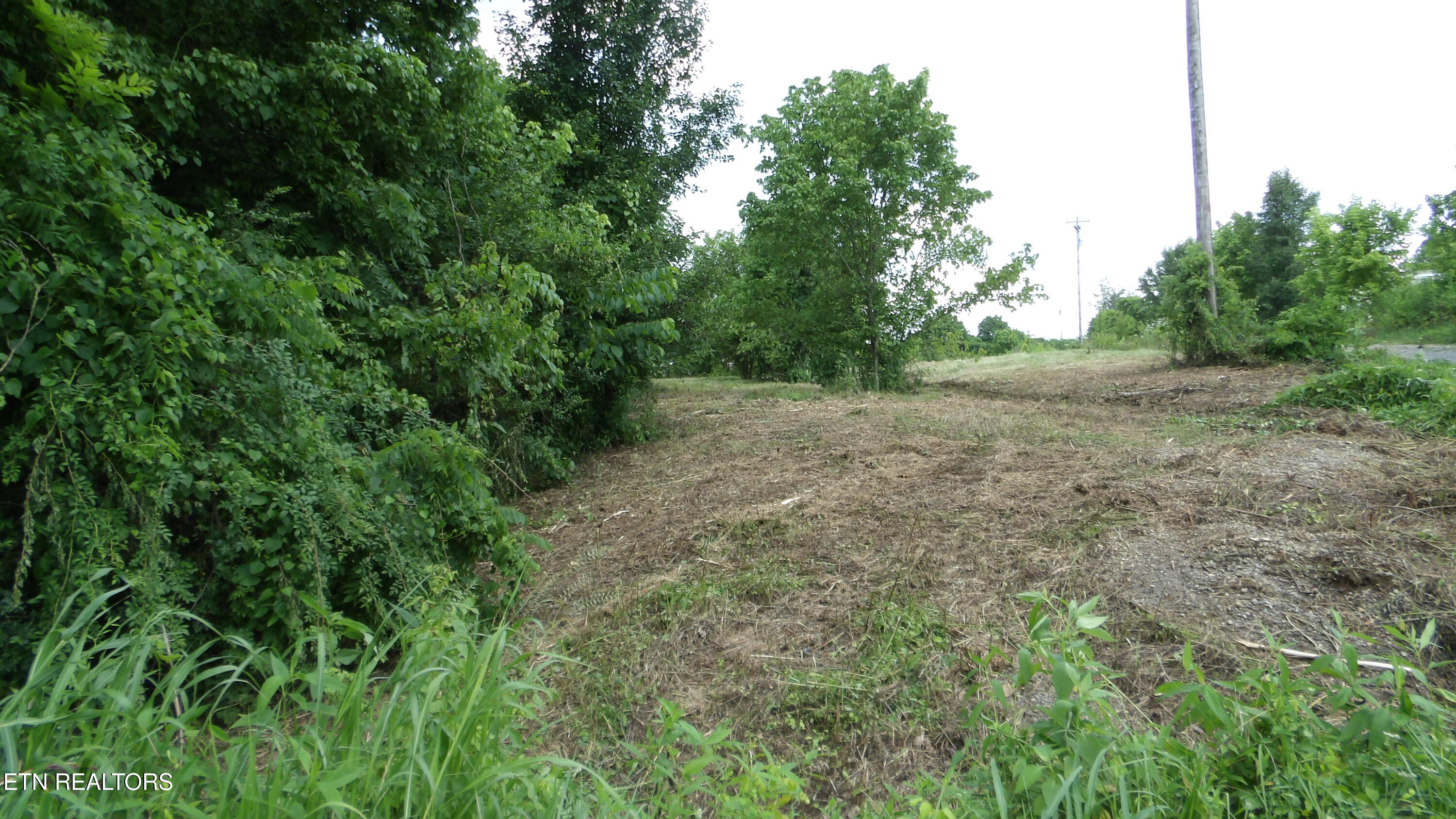 5.6-ac Lonnie Reecer Road Celina, TN 38551 - Photo 40 of 47 100_0077