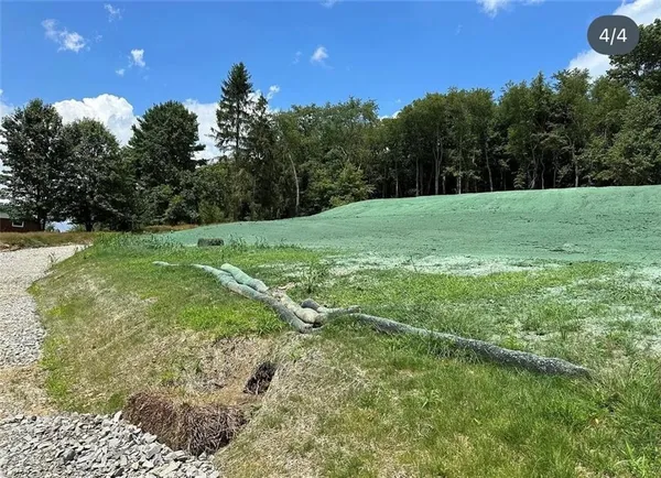 a view of a pathway both side of green field