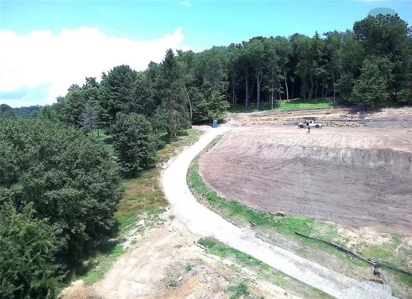 a view of a lush green space