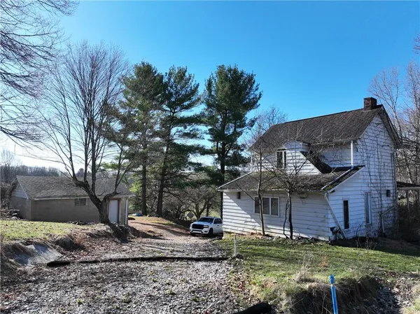 a view of a field with a tree