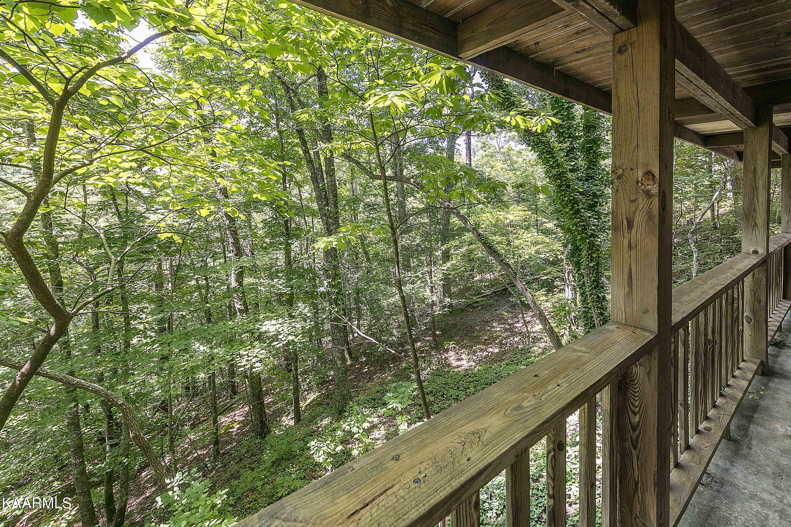 207 Cutter Gap Road Townsend, TN 37882 - Photo 29 of 39 Sweet woodsy view