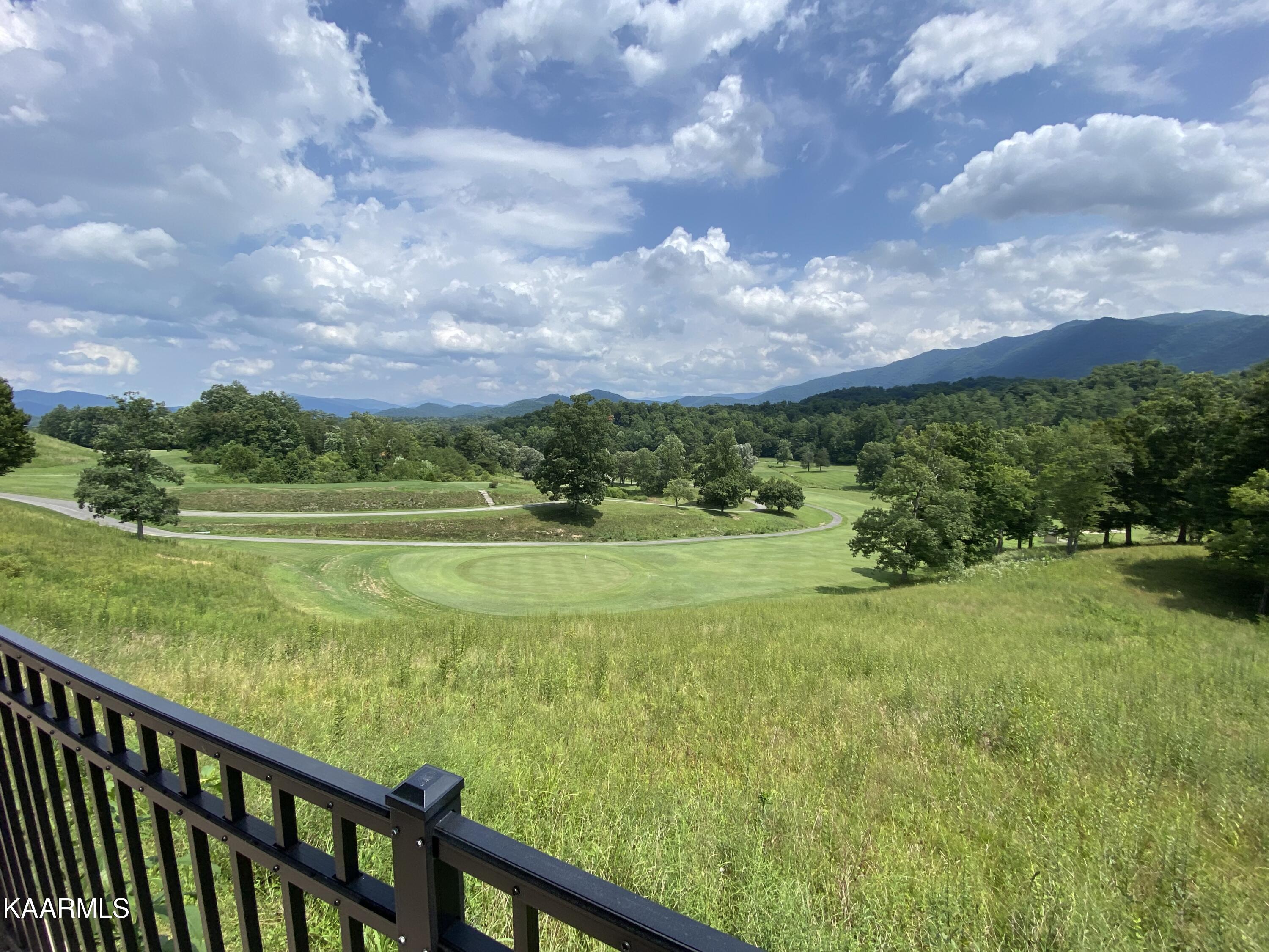 207 Cutter Gap Road Townsend, TN 37882 - Photo 37 of 39 Wowie